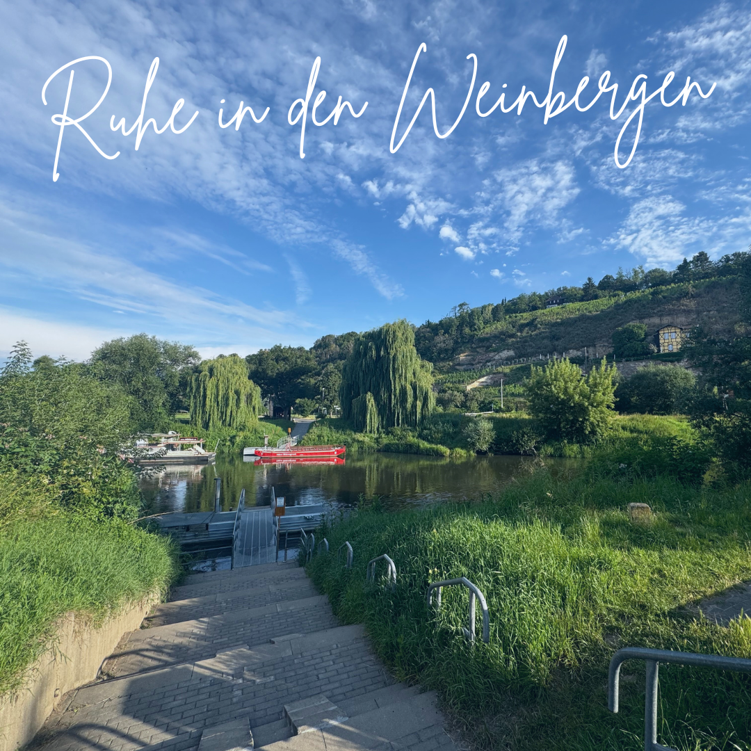 Weinberge mit Saale und Boot